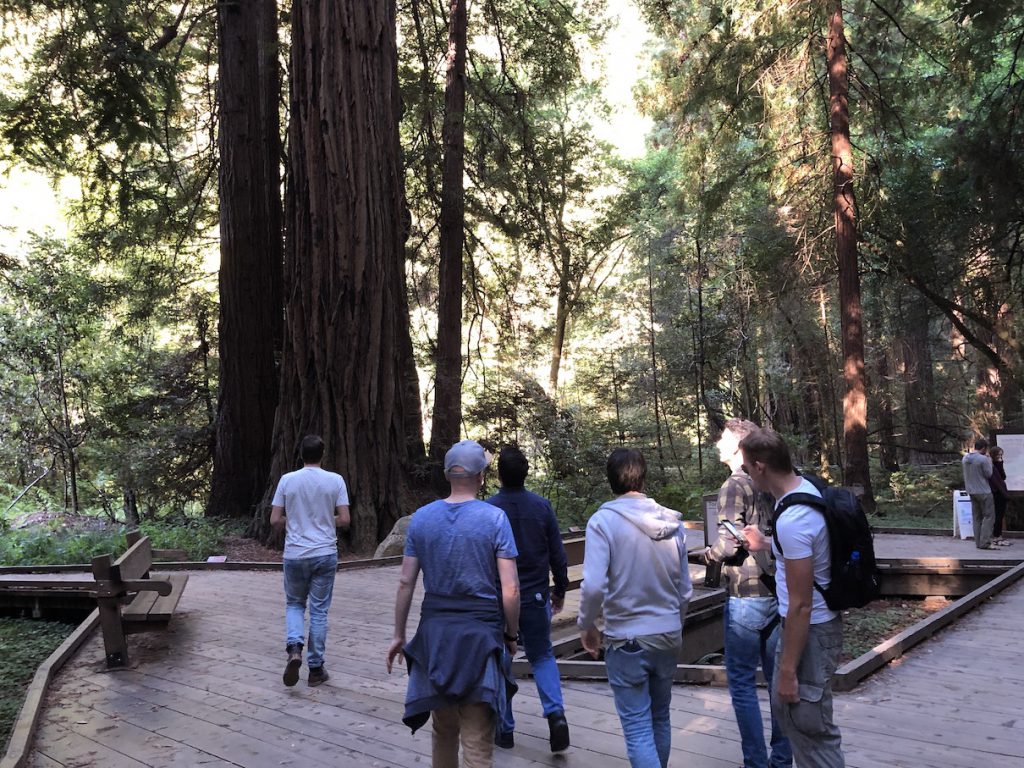 Muir Woods